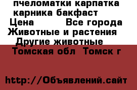 пчеломатки карпатка карника бакфаст F-1 › Цена ­ 800 - Все города Животные и растения » Другие животные   . Томская обл.,Томск г.